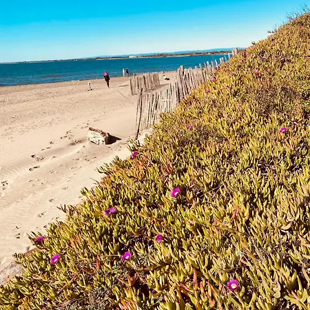 别墅 V0861 Avec Piscine Privee Pour 8 A 10 Personnes