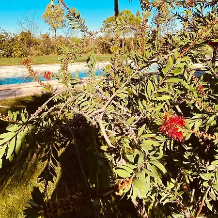 Villa Agence Jf Immo- Avec Piscine Privee Pour 8 A 10 Personnes V0861