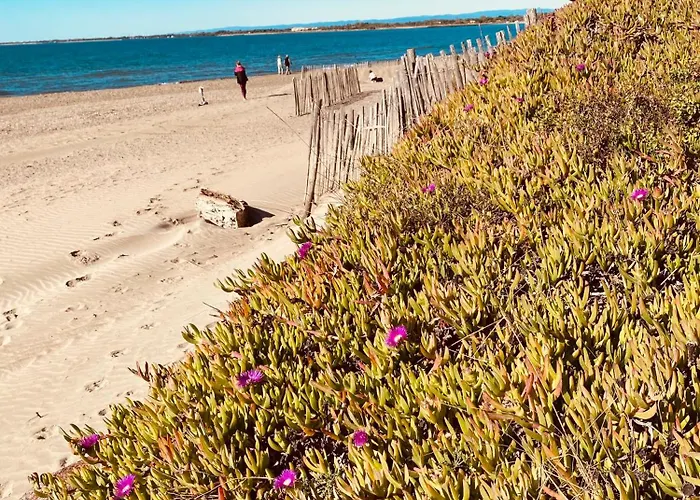 Villa Agence Jf Immo- Avec Piscine Privee Pour 8 A 10 Personnes V0861