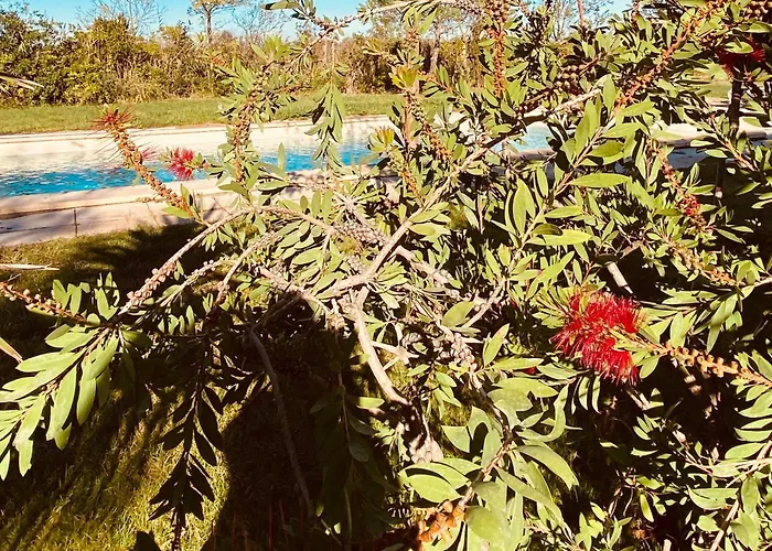 Villa Agence Jf Immo- Avec Piscine Privee Pour 8 A 10 Personnes V0861