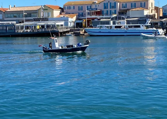 Agence Jf Immo- Avec Piscine Privee Pour 8 A 10 Personnes V0861 Agde